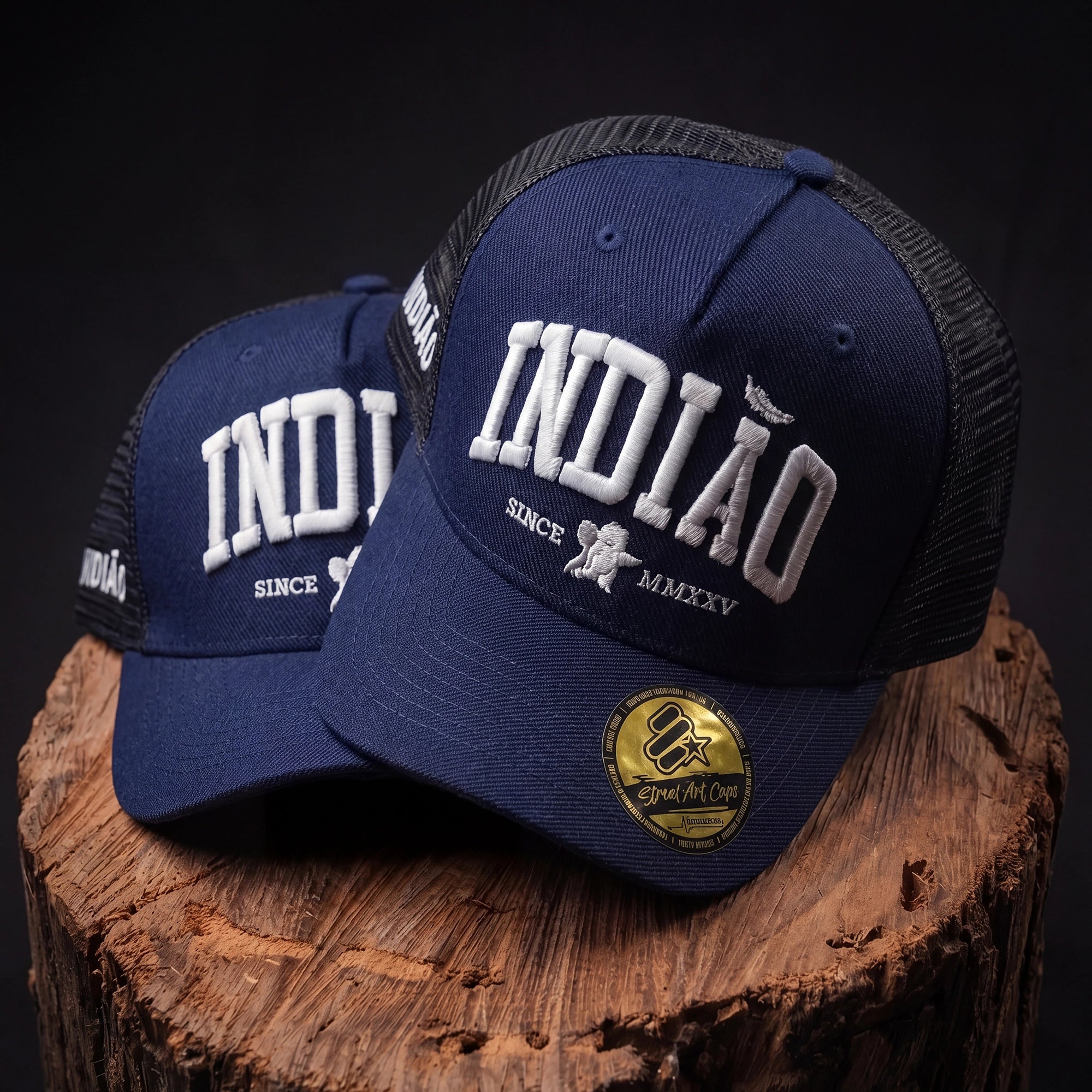 Boné Trucker - Indiao - Azul Marinho
